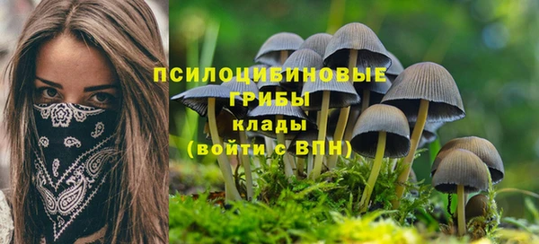 СК Россошь