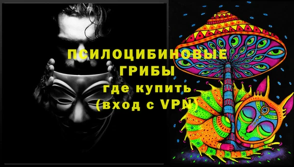 СК Россошь