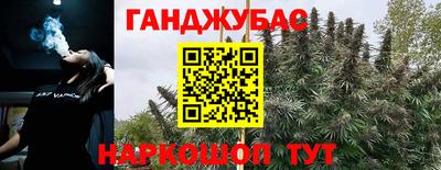 дживик Славгород