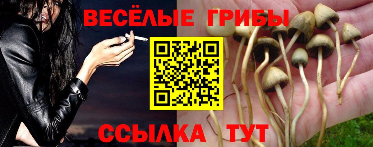 Сосновоборск  Псилоцибиновые грибы Cubensis  Псилоцибиновые грибы ЛСД  Вход с VPN 